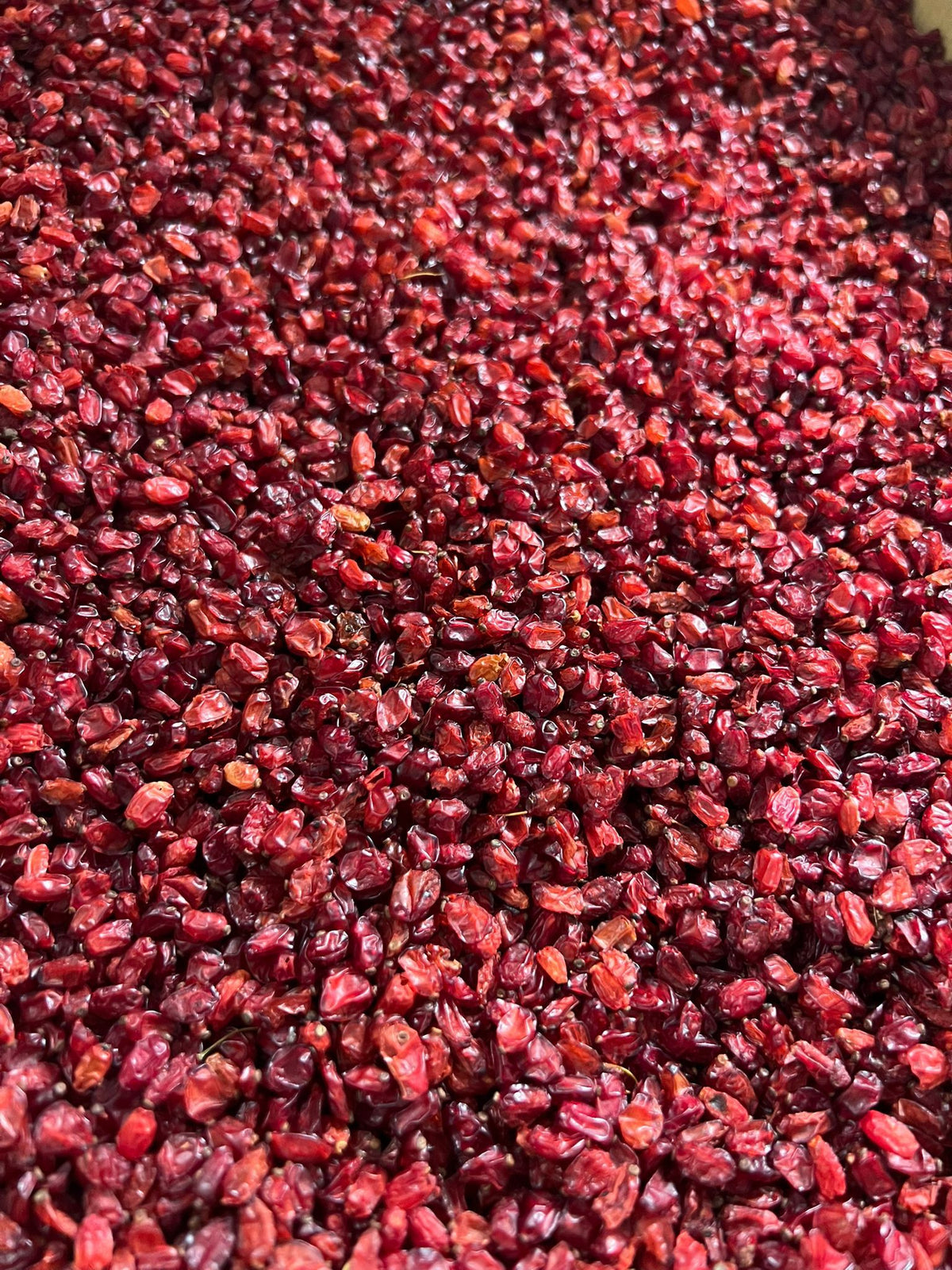 berberis / Zereshk 1KG